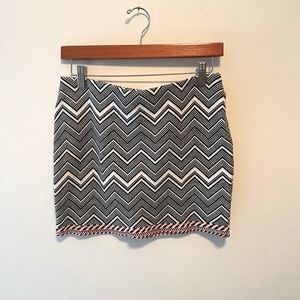 Zara Stretch Knit Skirt